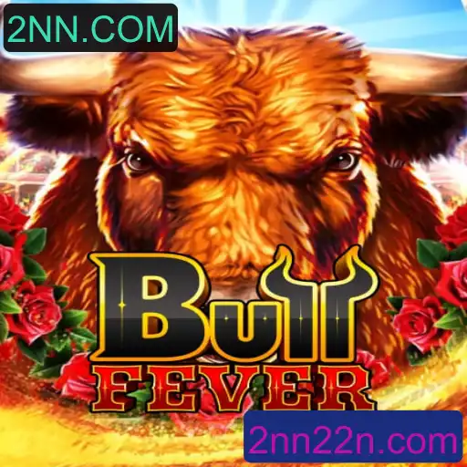 BullFever: Mergulhe na Emoção do Novo Jogo de Cartas